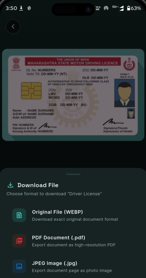 Download File sheet with Original, PDF and JPEG export options